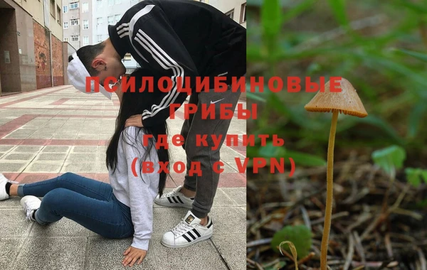 прущие крисы Алексеевка