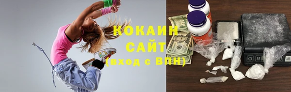 тгк Алексин