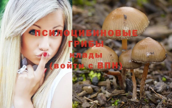 мяу мяу мука Алзамай