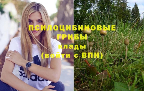 мяу мяу мука Алзамай