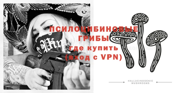 тгк Алексин